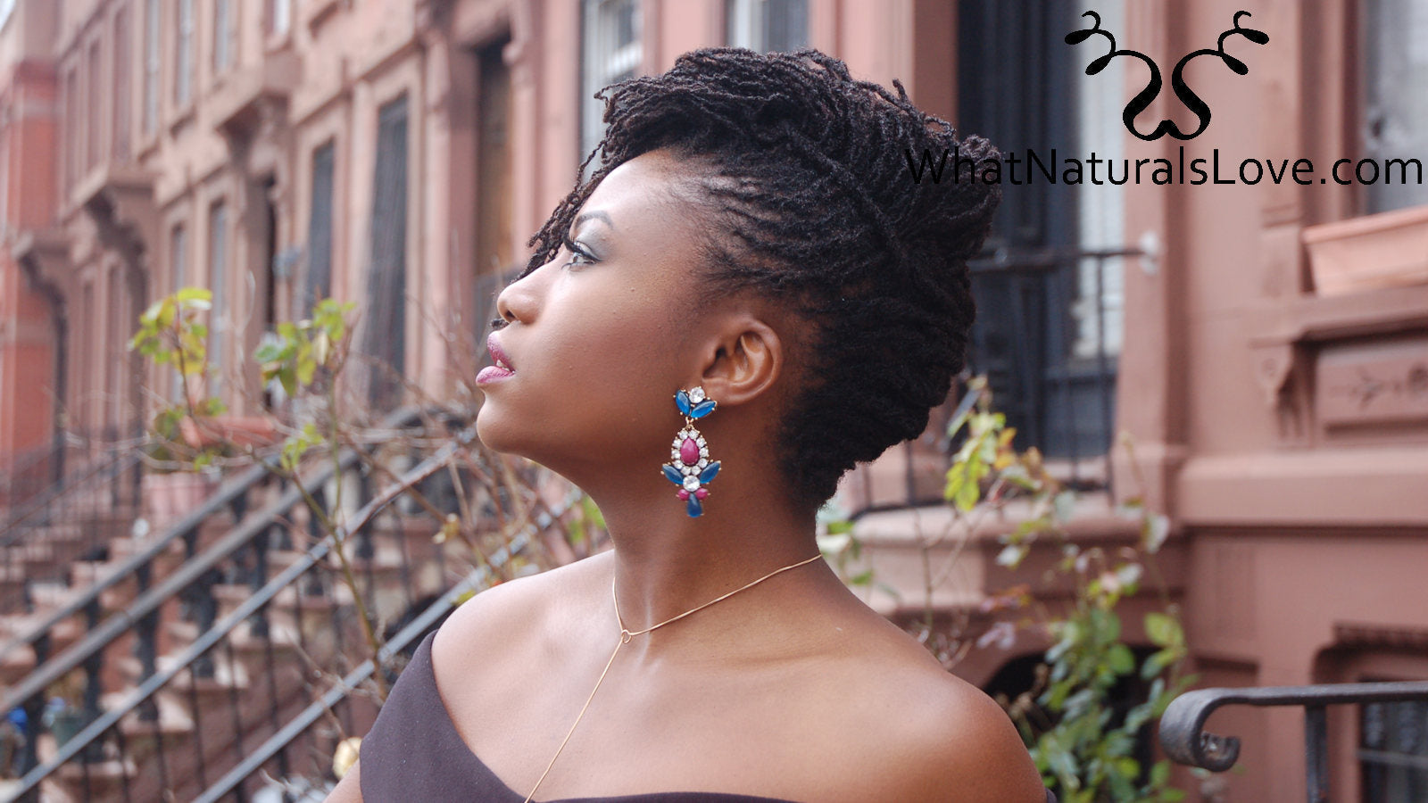 Long locs, Long Sisterlocks. Sisterlocks Grid: The Economics of Braidlocs - An Alternative to Sisterlocks