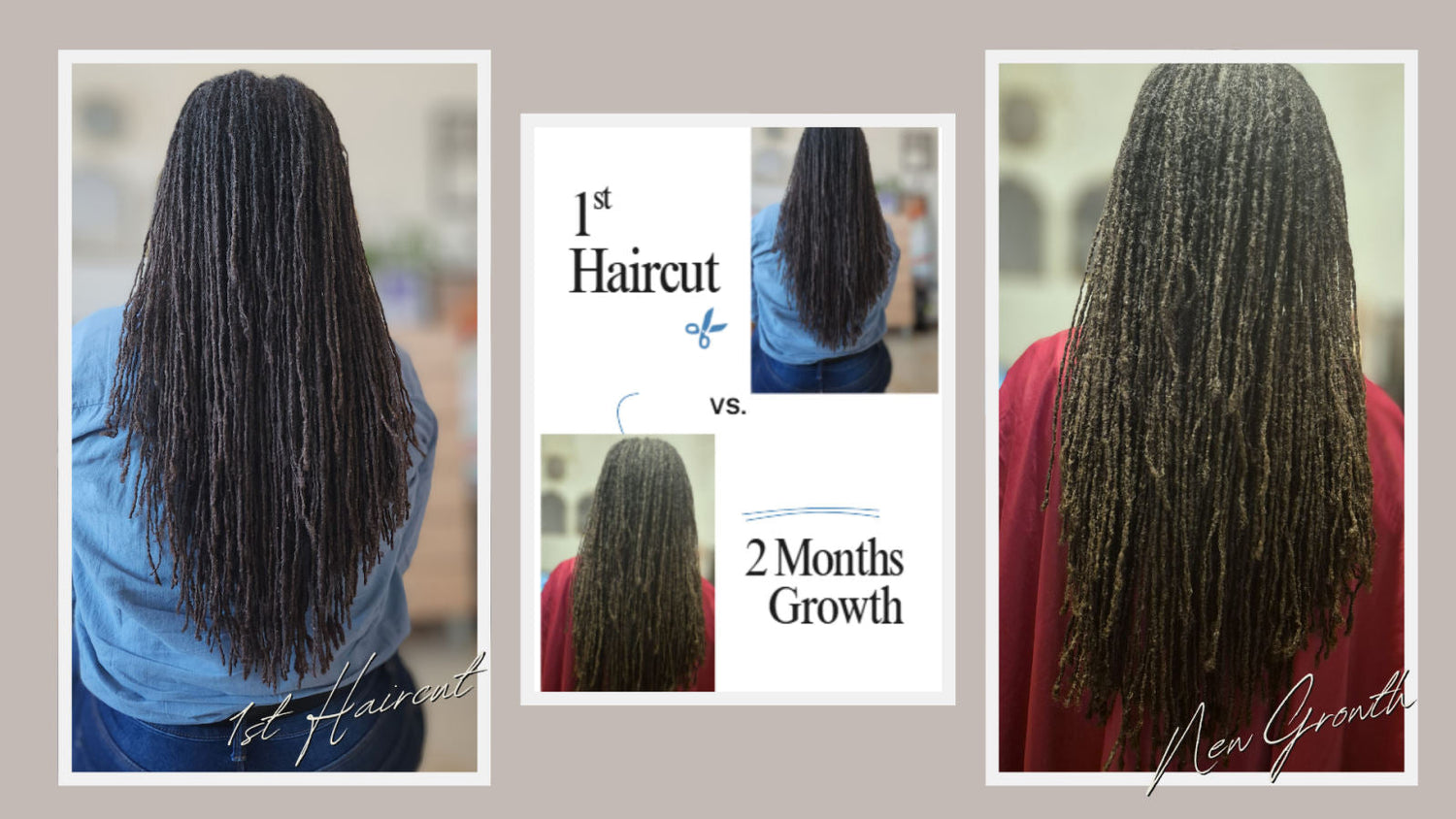 Locs and Sisterlocks Hair Growth After the First Haircut 