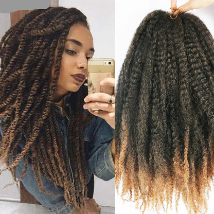 Black Marley Afro Kinky Braiding Hair with Brown ends