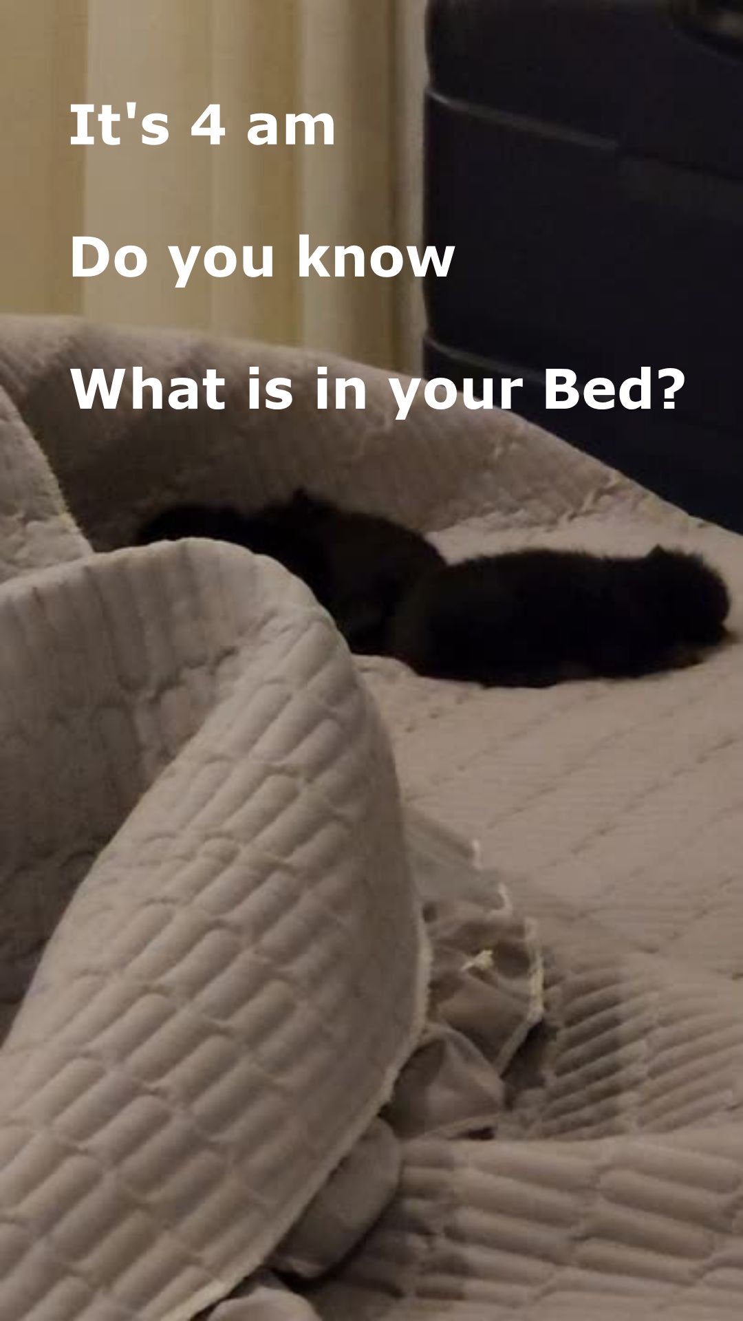 Person lying in bed at 4 AM with text asking 'What is in your Bed?'