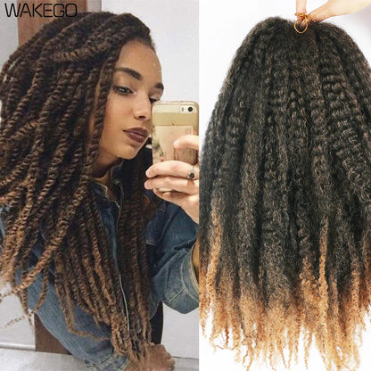  Marley Twist Crochet Hair - Black with Bown ends