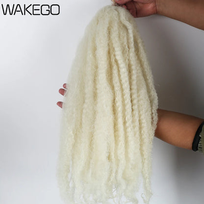 Marley Twist Crochet Hair in Blond