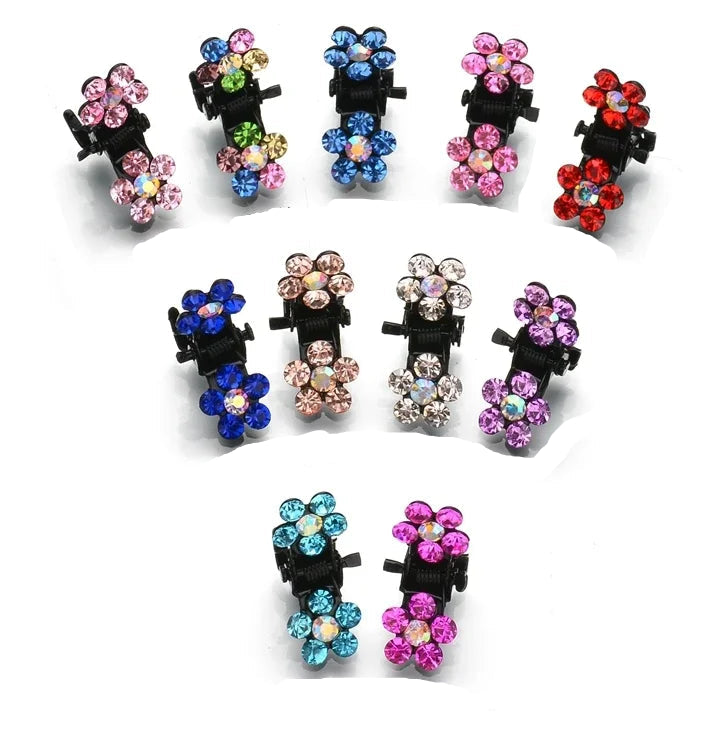 Multi Colour Hair Clip Set 