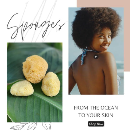 Natural Multi-Use Sea Sponges: Gentle, Eco-Friendly, and Versatile