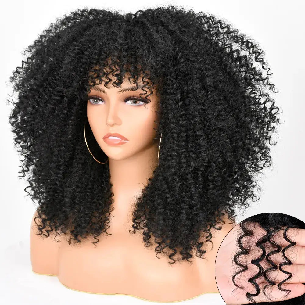 Afro Kinky Curly Wig With Bangs For Black Women 16