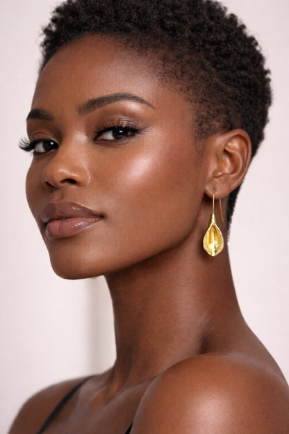 Fulani Earrings Collection