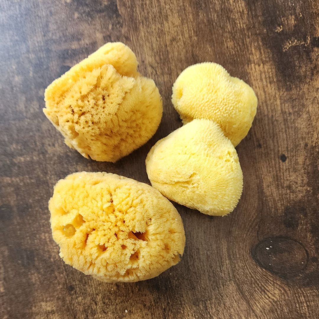 Natural Multi-Use Sea Sponges: Gentle, Eco-Friendly, and Versatile