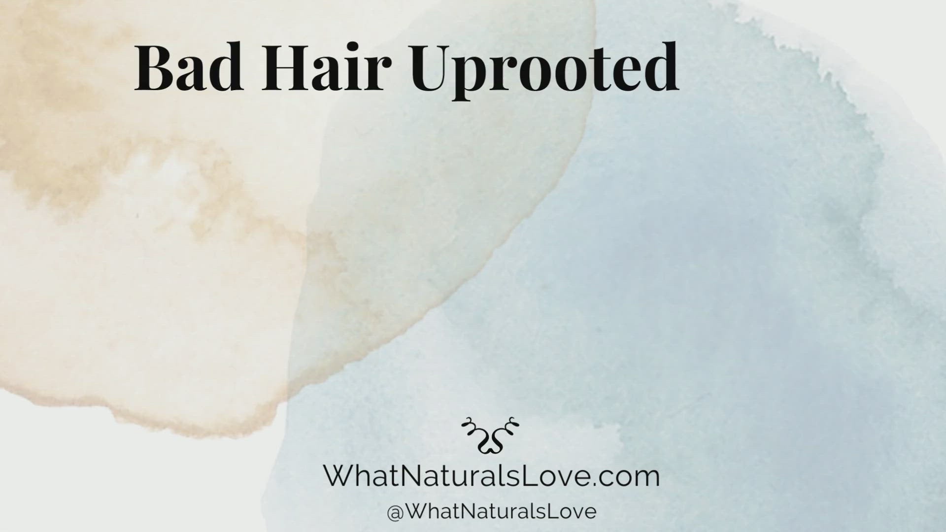 BAD Hair Uprooted the Untold History of Black Follicles