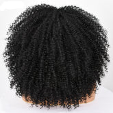 Afro Kinky Curly Wig With Bangs For Black Women 16