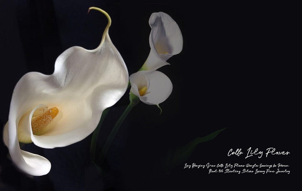 Calla lelie bloem oorbellen voor vrouwen