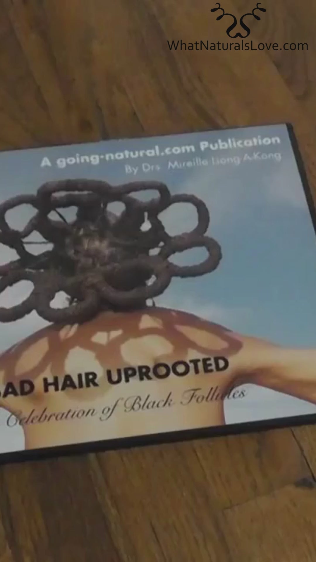 BAD Hair Uprooted the Untold History of Black Follicles