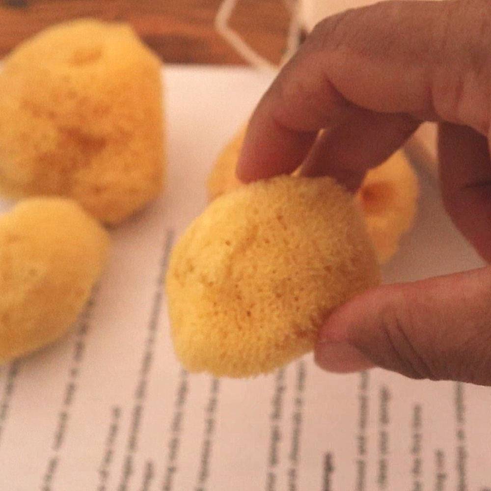 Le meilleur applicateur de la nature V-Sponge